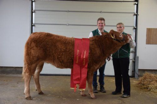 Kødkvægsskuet - Grunnet Unika - Champion yngre kvier, Bedste hundyr Fra Grunnet Limousine v/ Søren Grunnet